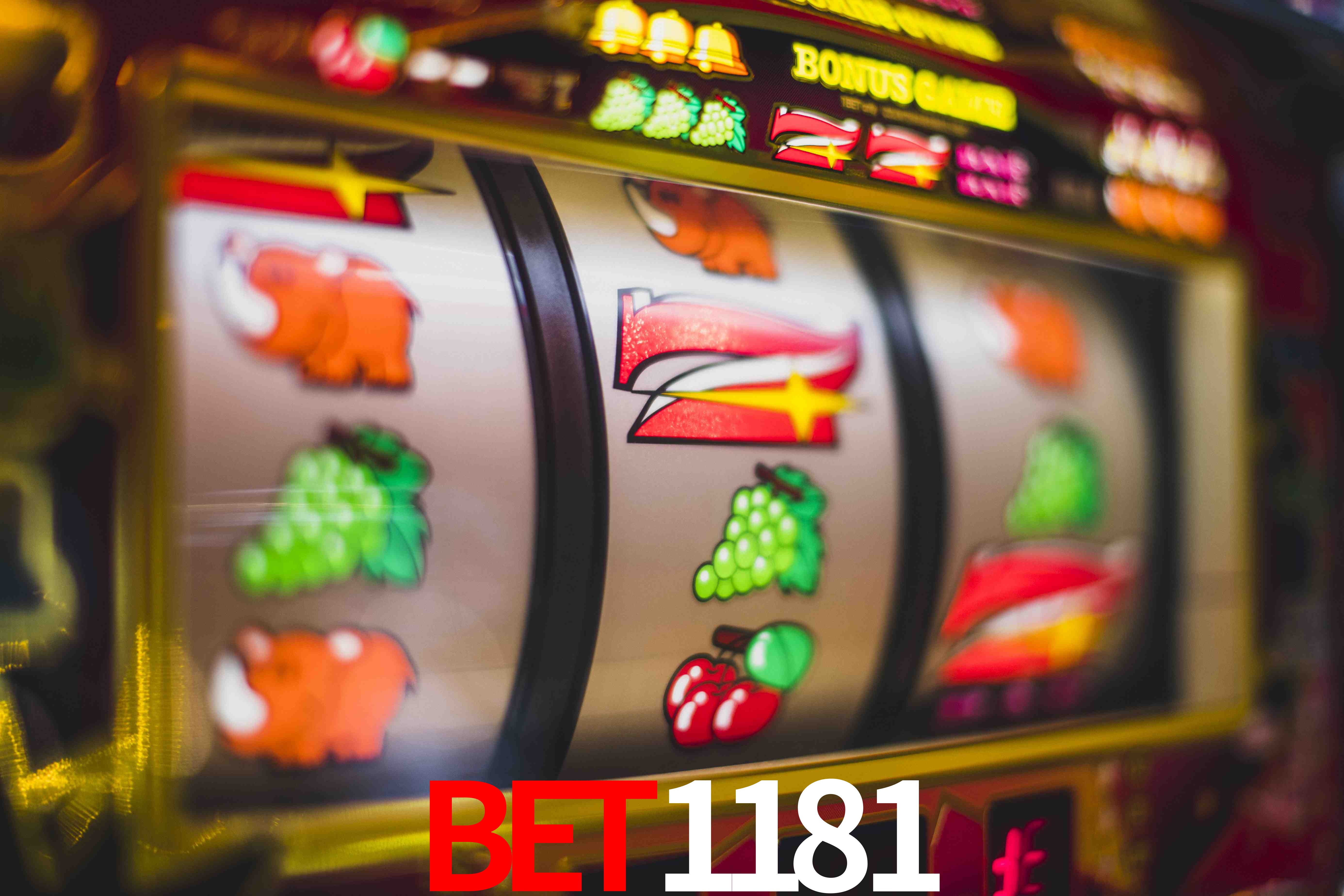 Sports Statistics bet1181
